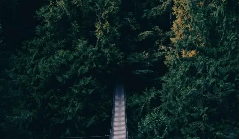 Remote Team Collaboration Tools We Actually Use